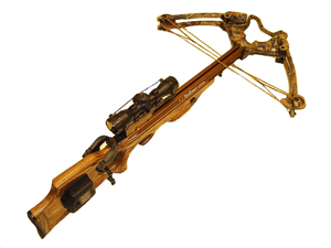 Наша цель – мишень!